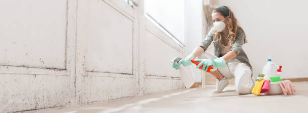 Mold Inspection, Removal & Remediation